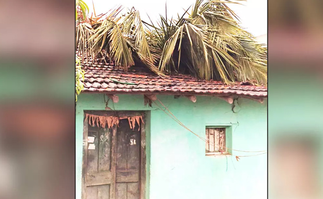 Mother, son injured as coconut tree falls on house amid heavy rain in Belagavi